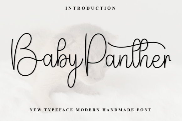Baby Panther: The Font That Makes Your Campaigns Pop