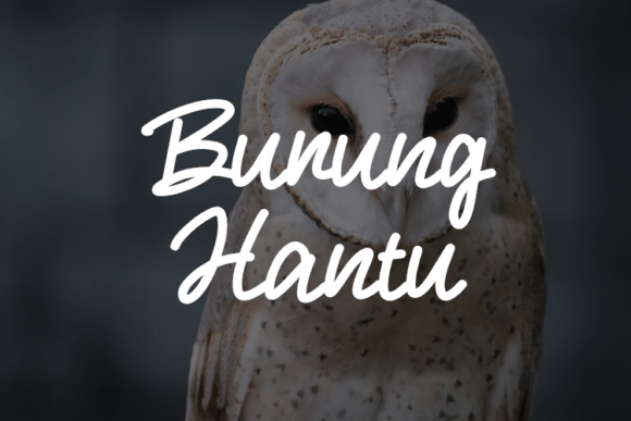 Font That Flies: How Burung Hantu Boosts My Campaign Design